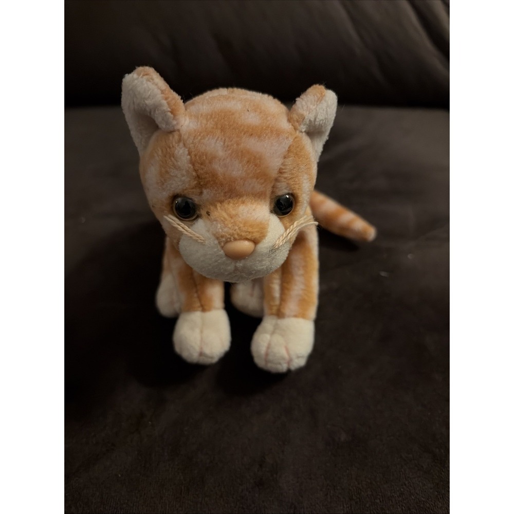 TY Beanie Baby - AMBER the Gold Tabby Cat (7.5 inch) -Stuffed Animal Toy